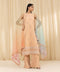 3 Piece - Embroidered Organza Suit